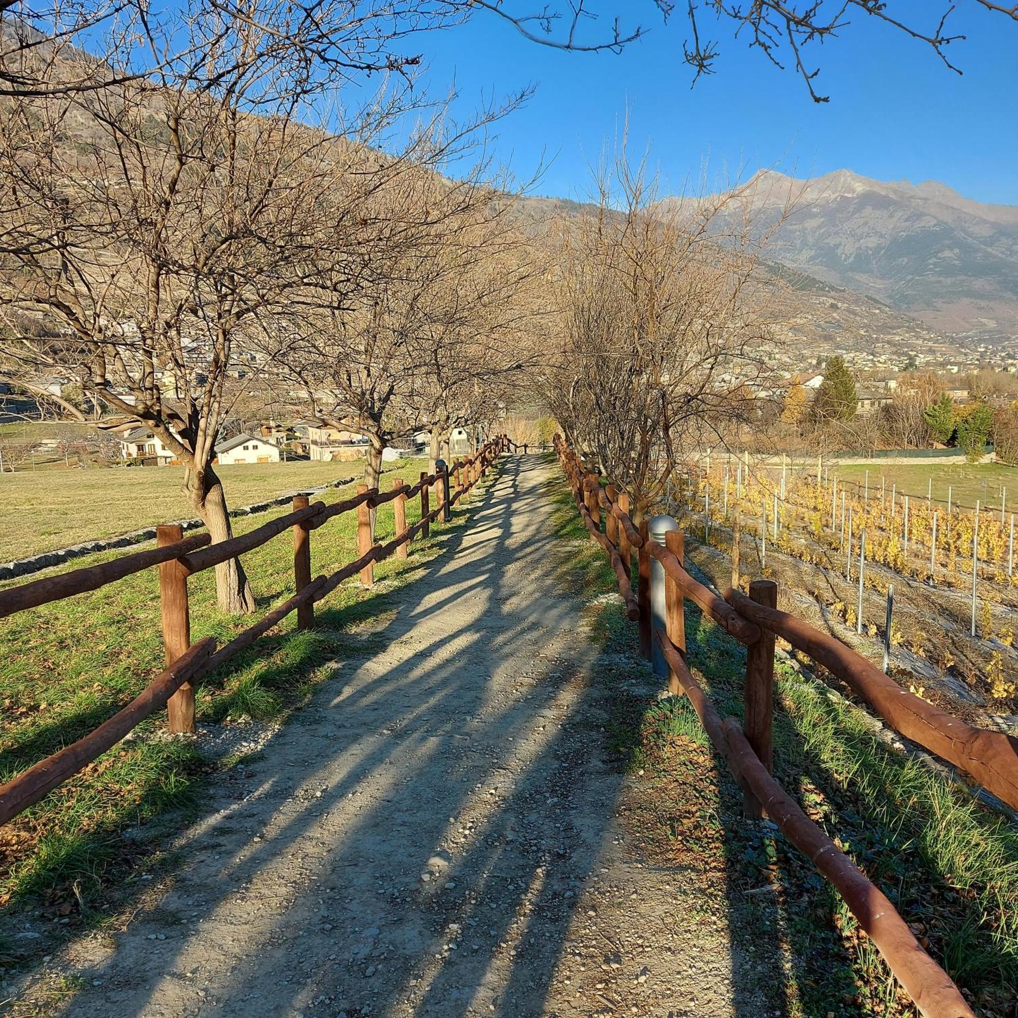 La Taverna Alloggio Ad Uso Turistico - Vda -Sarre - Cir- 0073 Aosta Exterior foto